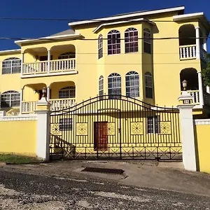 Pura Vida Jamaica Falmouth